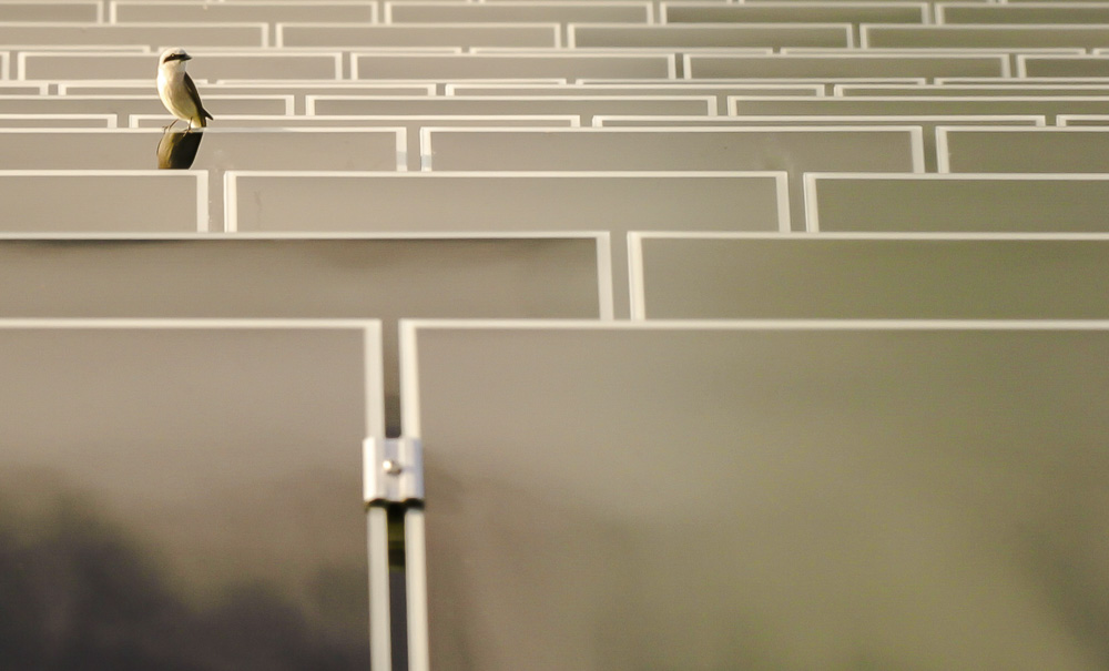 10. Platz Sieglinde Senser